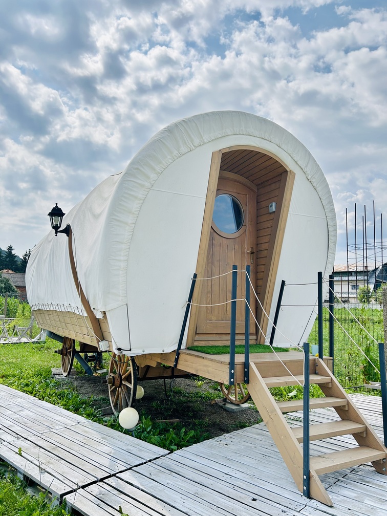 obiective turistice in vama buzaului spiritul zimbrului glamping