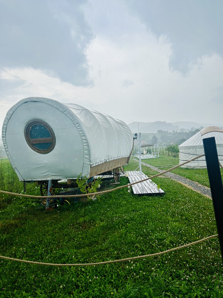 obiective turistice in vama buzaului spiritul zimbrului glamping